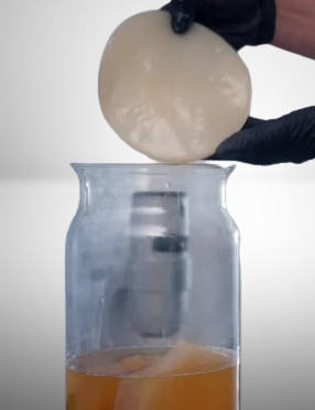 Scoby Starter Kits