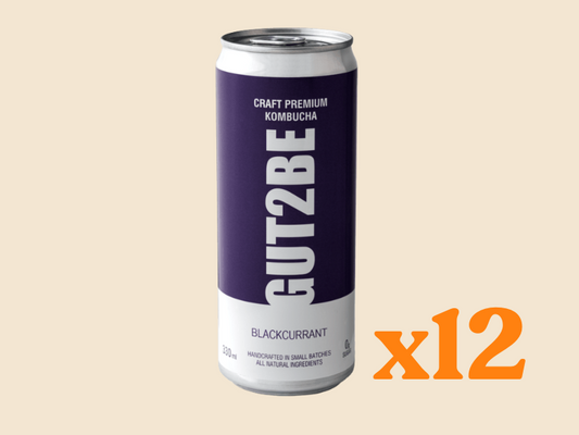 Kombucha Blackcurrant 12 pack