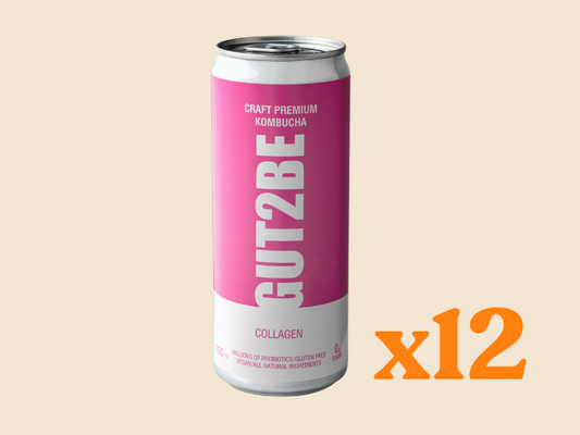 Kombucha Collagen 12 pack